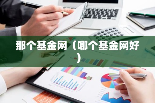 那个基金网（哪个基金网好）