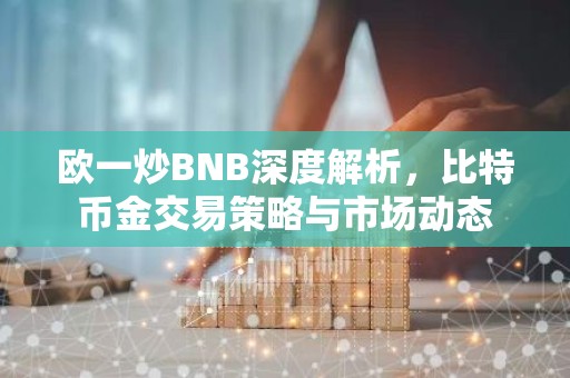 欧一炒BNB深度解析，比特币金交易策略与市场动态