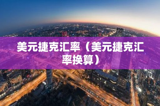 美元捷克汇率（美元捷克汇率换算）
