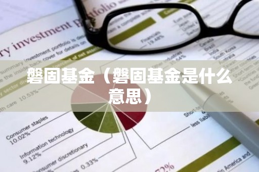 磐固基金（磐固基金是什么意思）