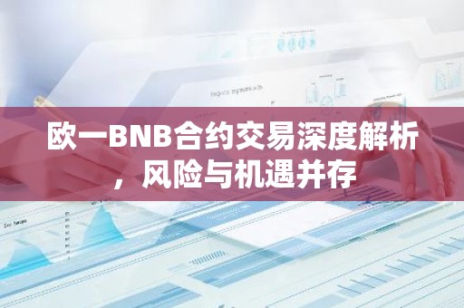 欧一BNB合约交易深度解析，风险与机遇并存