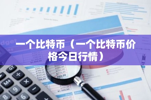 一个比特币（一个比特币价格今日行情）