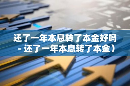 还了一年本息转了本金好吗 - 还了一年本息转了本金）