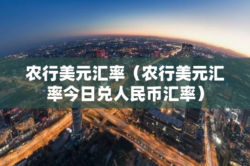 农行美元汇率（农行美元汇率今日兑人民币汇率）