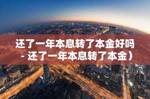 还了一年本息转了本金好吗 - 还了一年本息转了本金）