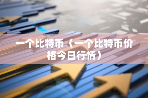 一个比特币（一个比特币价格今日行情）