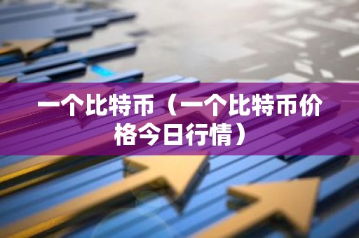 一个比特币（一个比特币价格今日行情）