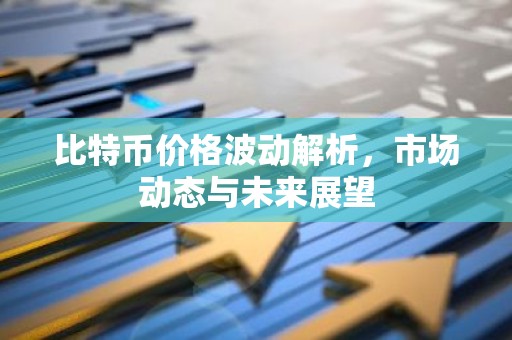 比特币价格波动解析，市场动态与未来展望