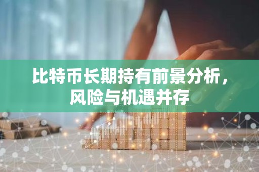 比特币长期持有前景分析，风险与机遇并存