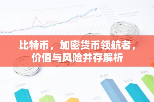 比特币，加密货币领航者，价值与风险并存解析