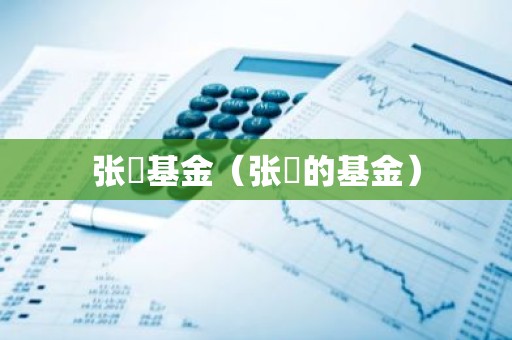 张弢基金（张弢的基金）