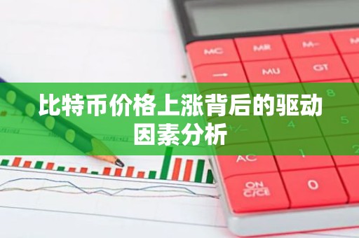 比特币价格上涨背后的驱动因素分析