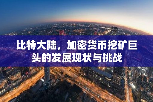 比特大陆，加密货币挖矿巨头的发展现状与挑战