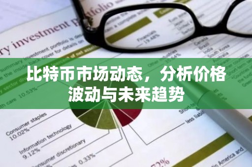 比特币市场动态，分析价格波动与未来趋势