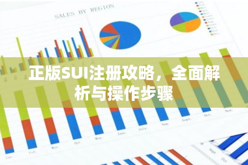 正版SUI注册攻略，全面解析与操作步骤