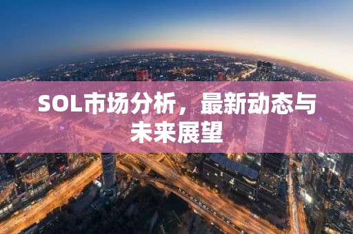 SOL市场分析，最新动态与未来展望