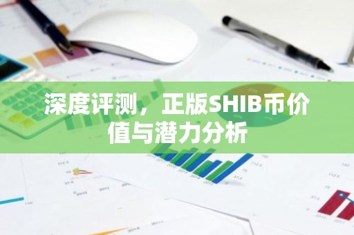 深度评测，正版SHIB币价值与潜力分析