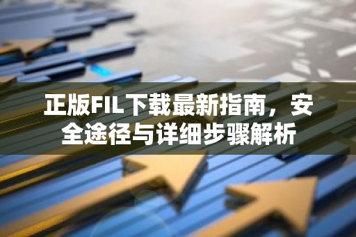 正版FIL下载最新指南，安全途径与详细步骤解析