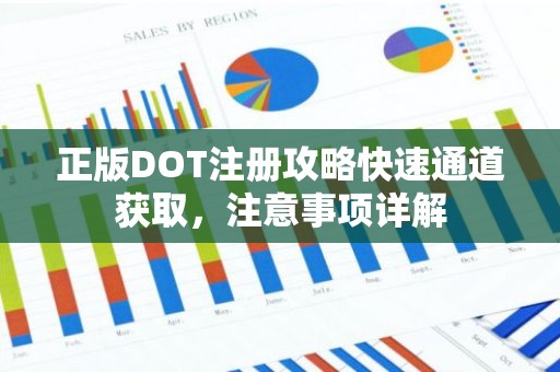 正版DOT注册攻略快速通道获取，注意事项详解