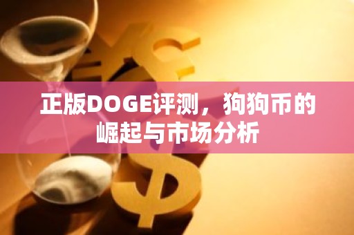 正版DOGE评测，狗狗币的崛起与市场分析