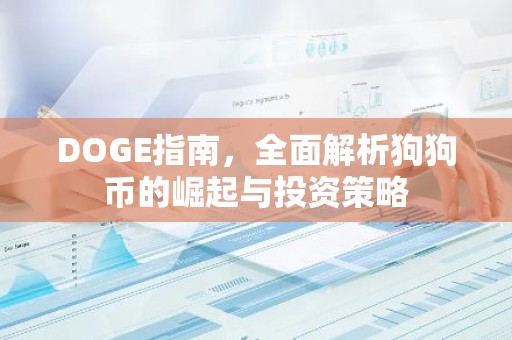 DOGE指南，全面解析狗狗币的崛起与投资策略