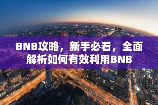 BNB攻略，新手必看，全面解析如何有效利用BNB