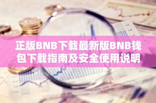 正版BNB下载最新版BNB钱包下载指南及安全使用说明