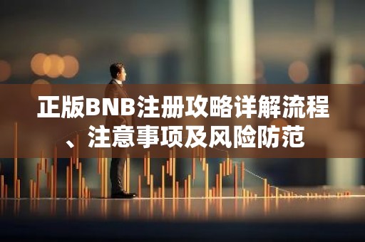 正版BNB注册攻略详解流程、注意事项及风险防范