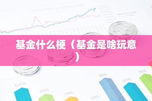 基金什么梗（基金是啥玩意）