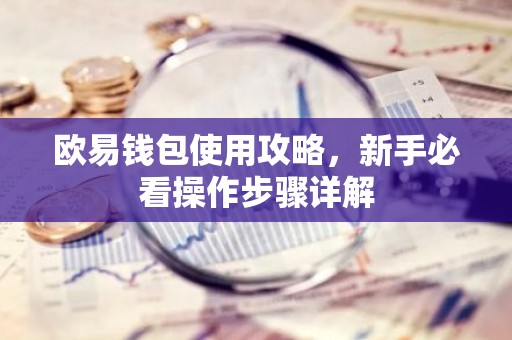欧易钱包使用攻略，新手必看操作步骤详解