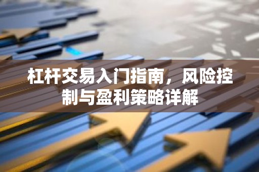 杠杆交易入门指南，风险控制与盈利策略详解