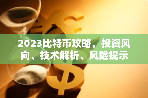 2023比特币攻略，投资风向、技术解析、风险提示