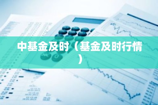中基金及时（基金及时行情）
