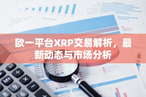 欧一平台XRP交易解析，最新动态与市场分析