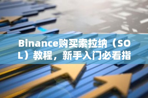 Binance购买索拉纳（SOL）教程，新手入门必看指南