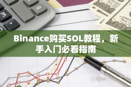 Binance购买SOL教程，新手入门必看指南