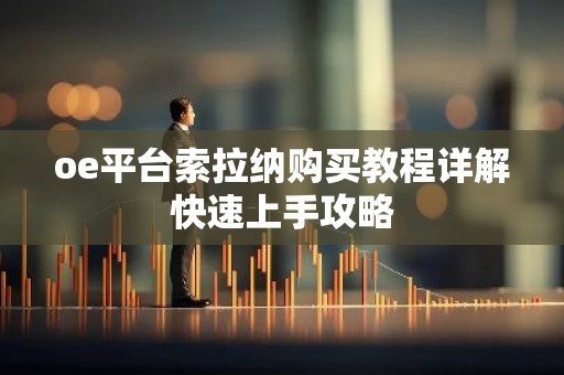oe平台索拉纳购买教程详解快速上手攻略