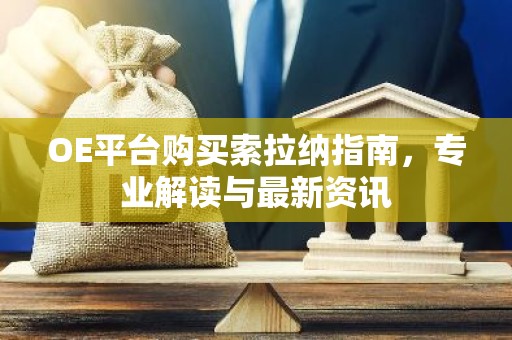 OE平台购买索拉纳指南，专业解读与最新资讯