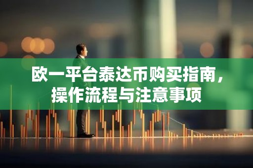 欧一平台泰达币购买指南，操作流程与注意事项