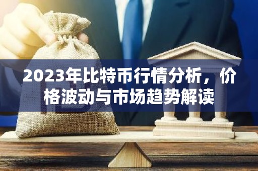 2023年比特币行情分析，价格波动与市场趋势解读