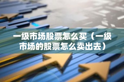 一级市场股票怎么买（一级市场的股票怎么卖出去）