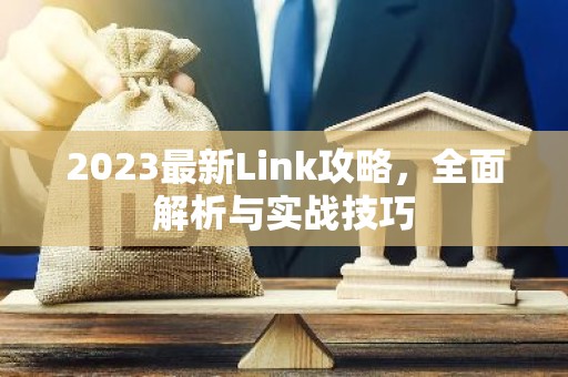 2023最新Link攻略，全面解析与实战技巧