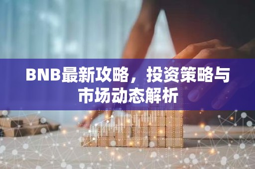 BNB最新攻略，投资策略与市场动态解析