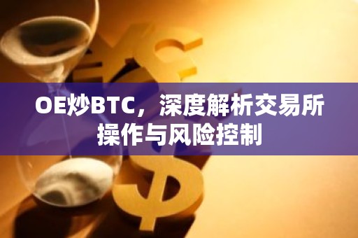 OE炒BTC，深度解析交易所操作与风险控制