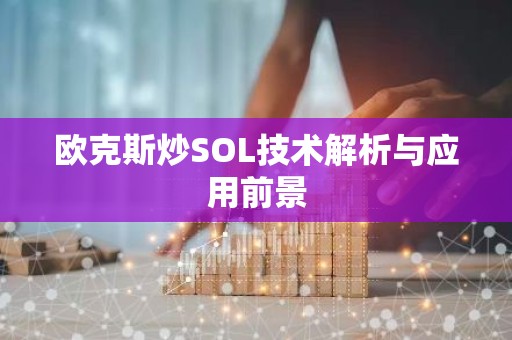 欧克斯炒SOL技术解析与应用前景