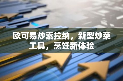 欧可易炒索拉纳，新型炒菜工具，烹饪新体验