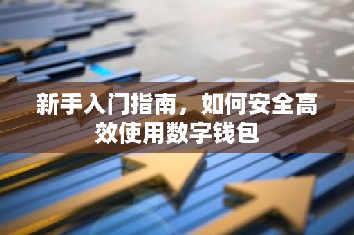 新手入门指南，如何安全高效使用数字钱包