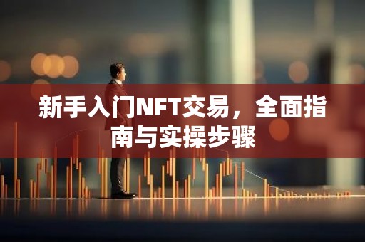 新手入门NFT交易，全面指南与实操步骤