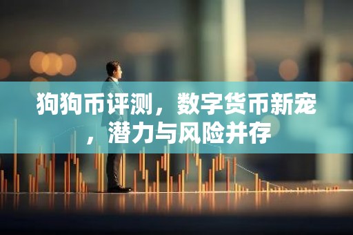 狗狗币评测，数字货币新宠，潜力与风险并存