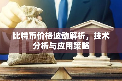 比特币价格波动解析，技术分析与应用策略